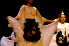 Ballet-Folkloriko-8