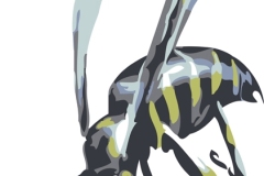 Vector wasp