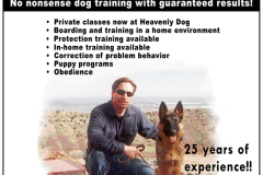 Canine-College