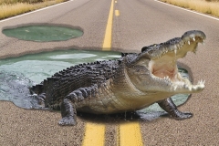 finalcrocodile