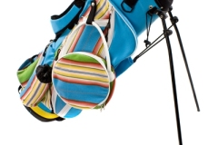 Sassy-Caddy-Bag-2-
