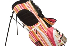 Sassy-Caddy-Bag-3-